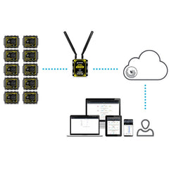 Tramex TREMS with Ambient Cloud Sensors with Station in MAXULTRA