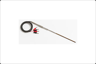 Fluke 100 OHM RTD Temperature Probe (item no. 2675468)